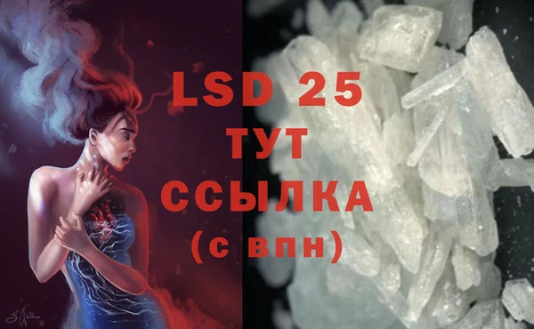 ГАЛЛЮЦИНОГЕННЫЕ ГРИБЫ Аркадак