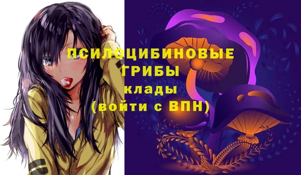ГАЛЛЮЦИНОГЕННЫЕ ГРИБЫ Аркадак