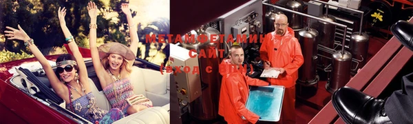 ГАЛЛЮЦИНОГЕННЫЕ ГРИБЫ Аркадак
