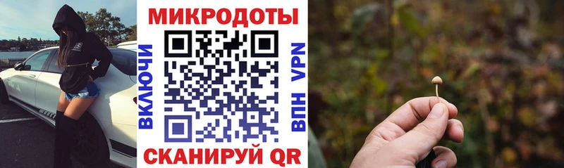 Галлюциногенные грибы ЛСД  ссылка на мегу онион  Богородицк 